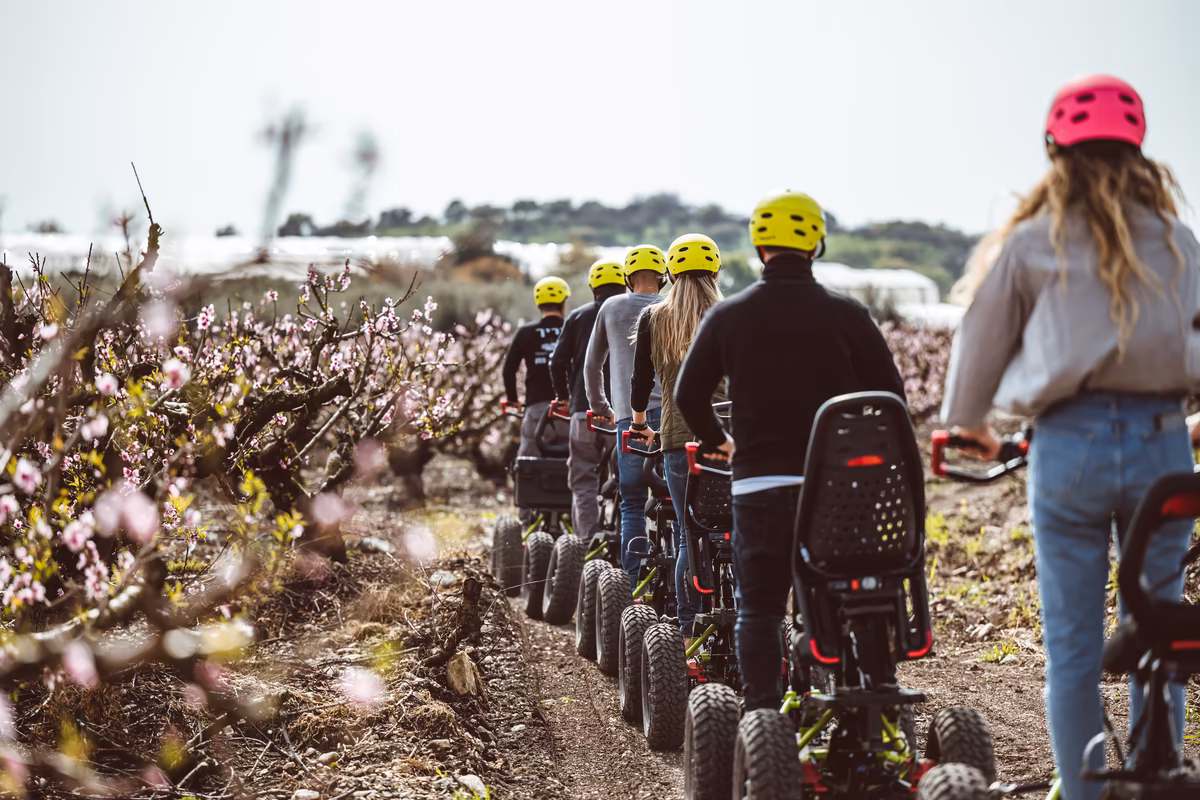Riders traveling in single file between flowering orchard rows, viewed from behind